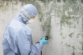 Mold Remediation for Rental Properties in State Center, IA